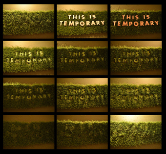 This Is Temporary - Stills by Mimi Seery as part of her Instagram series "The Miniature Museum of Public Art"