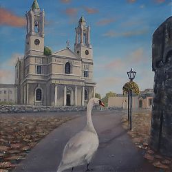 A lone Swan Wanders up Castle Street