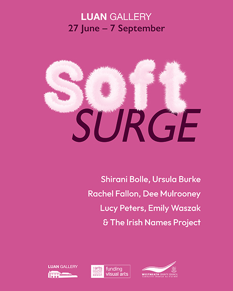 SOFT SURGE; a group exhibition featuring newly commissioned, and existing work by Shirani Bolle, Ursula Burke, Rachel Fallon, Dee Mulrooney, Lucy Peters, Emily Waszak, and selected work on loan from The Irish Names Project.