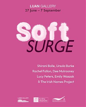 SOFT SURGE; a group exhibition featuring newly commissioned, and existing work by Shirani Bolle, Ursula Burke, Rachel Fallon, Dee Mulrooney, Lucy Peters, Emily Waszak, and selected work on loan from The Irish Names Project.